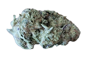 Sibanax Hybrid MCF 28/1 Mac Fem